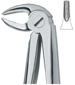 Tooth Ext Forceps