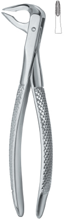 Tooth Ext Forceps