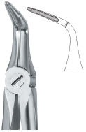 Tooth Ext Forceps