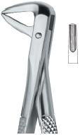 Tooth Ext Forceps