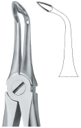 Tooth Ext Forceps