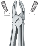 Tooth Ext Forceps