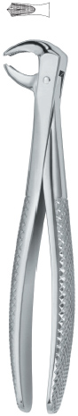 Tooth Ext Forceps