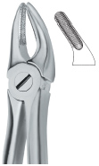 Tooth Ext Forceps