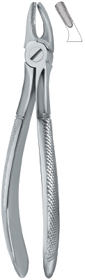 Tooth Ext Forceps