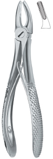 Tooth Ext Forceps