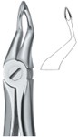 Tooth Ext Forceps