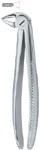 Tooth Ext Forceps