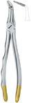 Tooth Ext Forceps