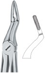 Tooth Ext Forceps