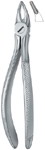 Tooth Ext Forceps